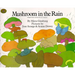 Mushroom in the Rain