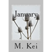 January: A Tanka Diary
