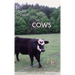 The Cows