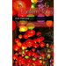 Lantern Tales: Simplified Chinese Stories for ESL Learners: Simplified Chinese Stories for ESL Learners: Simplified Chinese Stories for ESL Learners