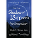 In the Shadow of 13 Moons: Magical Empowerment Through the Dark Lunar Mysteries