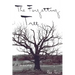 Forgetting Tree: A Rememory