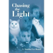 Chasing the Light