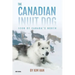The Canadian Inuit Dog: Icon of Canada's North