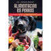 Alimentación En Perros: ¿Procesada o Cruda? La Ciencia Detrás del Debate