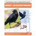 Animales Que Resuelven Problemas: Animal Problem Solving