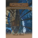Pirate Magic: Jonah and the Pirate King