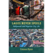 Lagos Never Spoils: Nollywood and Nigerian City Life