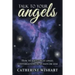 Talk to your angels: How to have great angel conversations in 30 days or less