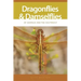 Dragonflies and Damselflies of Georgia and the Southeast