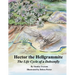 Hector the Hellgrammite: The Life Cycle of a Dobsonfly