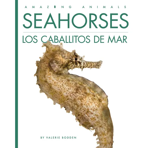 Seahorses / Los Caballitos de Mar