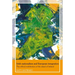 Irish Nationalism and European Integration: The Official Redefinition of the Island of Ireland
