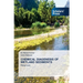 Chemical Diagenesis of Wetland Sediments