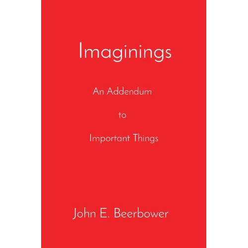 Imaginings: An Addendum to Important Things