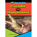 Crocodile vs. Hippopotamus