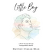 Little Boy: A Poetic Voyage Through Teenage Mental Health