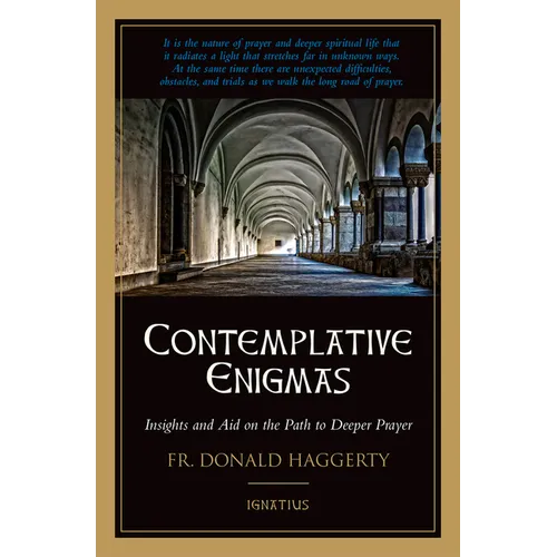 Contemplative Enigmas: Insights and Aid on the Path to Deeper Prayer