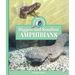 Biggest and Smallest Amphibians