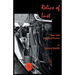 Relics of Lust: New and Selected Poems