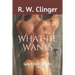 What He Wants: Gay Erotic Stories