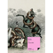 Anaconda