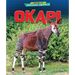 Okapi