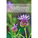 Wildflowers of the Mountain West: Volume 1