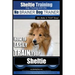 Sheltie Training Dog Training with the No BRAINER Dog TRAINER We Make it THAT Easy!: How to EASILY TRAIN Your Sheltie