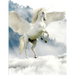 Unicorn Notebook: 100 Pages 8.5" X 11" Wide Ruled Line Paper