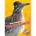 Roadrunners