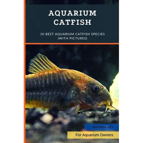 Aquarium Catfish: 10 Best Aquarium Catfish Species (With Pictures)