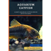 Aquarium Catfish: 10 Best Aquarium Catfish Species (With Pictures)