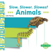 Slow, Slower, Slowest Animals