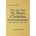 A Layman's Guide to: Why Are There So Many Christian Denominations?
