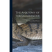The Anatomy of the Salamander