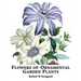 Flowers of Ornamental Garden Plants