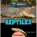 Reptiles (Wild World: Big and Small Animals)