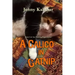 A Calico in Catnip