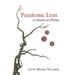 Pandemic Lent: A Season in Poems