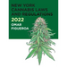 2022 New York Cannabis Laws and Regulations