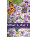 Gravity/Levity