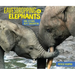 Eavesdropping on Elephants: How Listening Helps Conservation