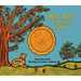 We Learn from the Sun