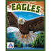 Eagles