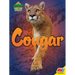 Cougar