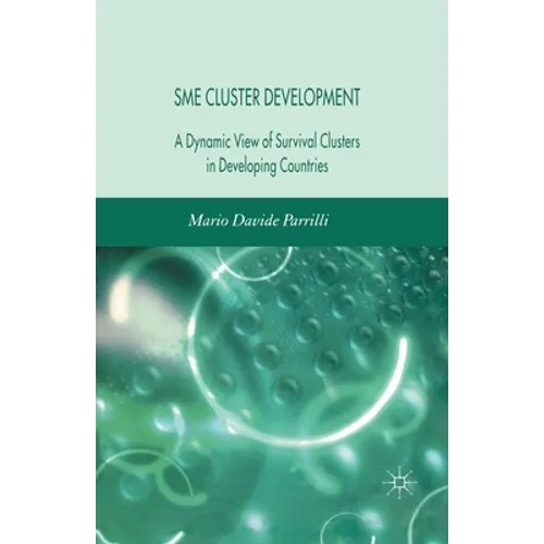 Sme Cluster Development: A Dynamic View of Survival Clusters in Developing Countries