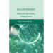 Sme Cluster Development: A Dynamic View of Survival Clusters in Developing Countries