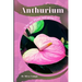 Anthurium: Why my Plant not grow? problems and their solutions