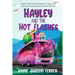 Hayley and the Hot Flashes